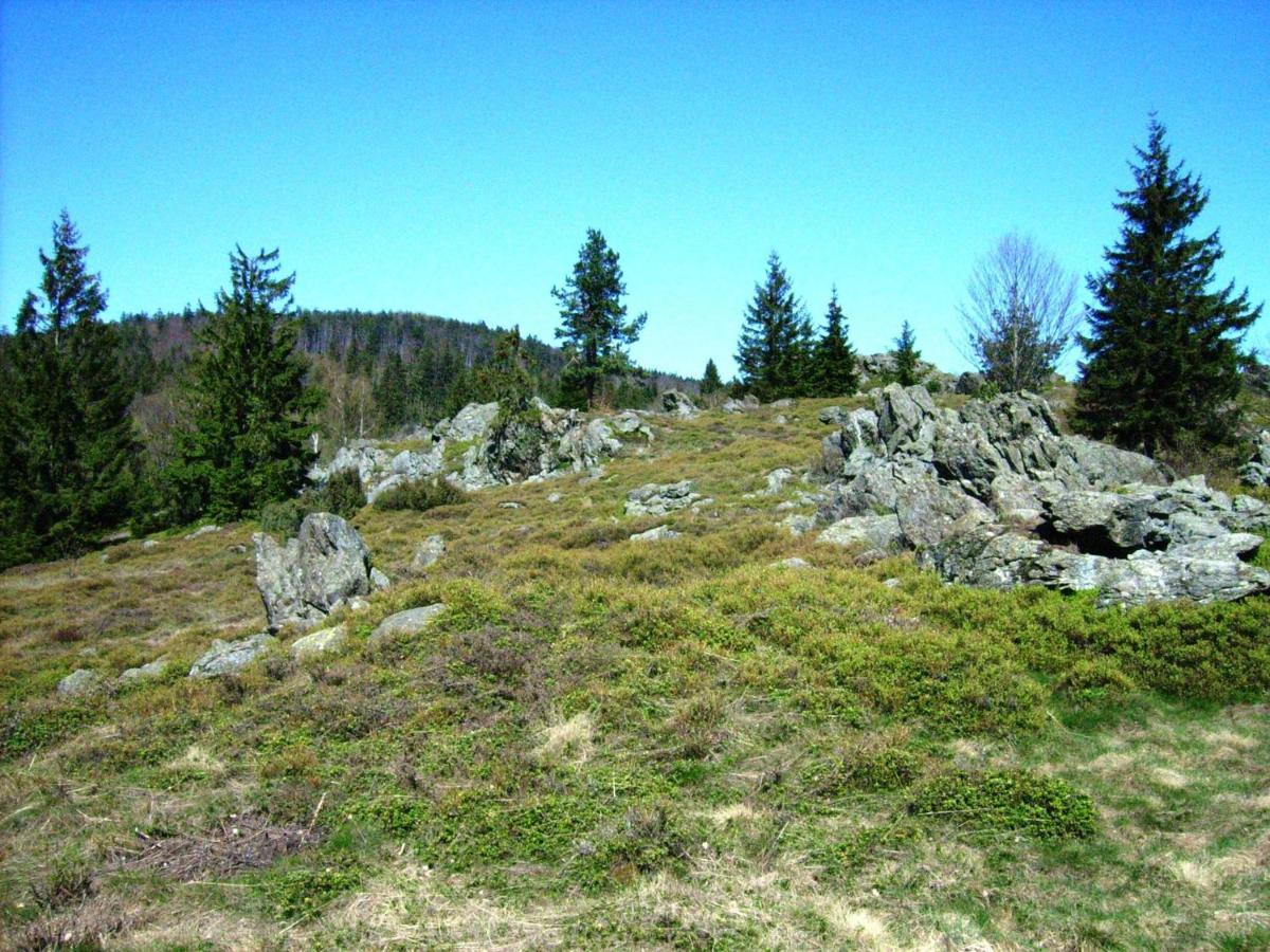Holiday Home Near The Ski Slope Stadlern Eksteriør billede